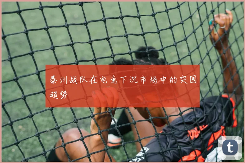 泰州战队在电竞下沉市场中的突围趋势